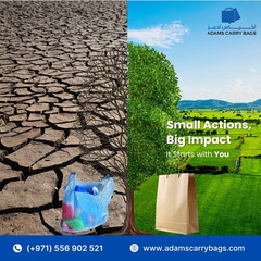 WhatsApp Image 2026-02-20 at 3.17.56 PM