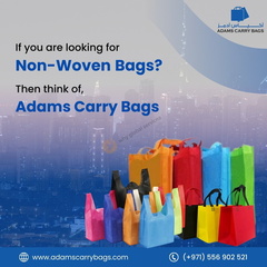 WhatsApp Image 2026-02-20 at 3.15.45 PM