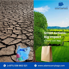 WhatsApp Image 2026-02-20 at 3.17.56 PM